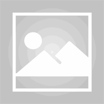 edu-e-3-907298-25-1_Buchschmide_Gesellschaft für den Detailhandel DHF