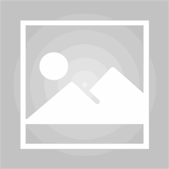 Das-schweizerische-Tiefangriffsflugzeug-P-16